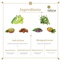 KHADI NATURAL Ayurvedic Amla and Bhringraj Hair Cleanser(Shampoo), SLS and Paraben Free, 210ml & KHADI NATURAL Protein Hair Cream, 100g