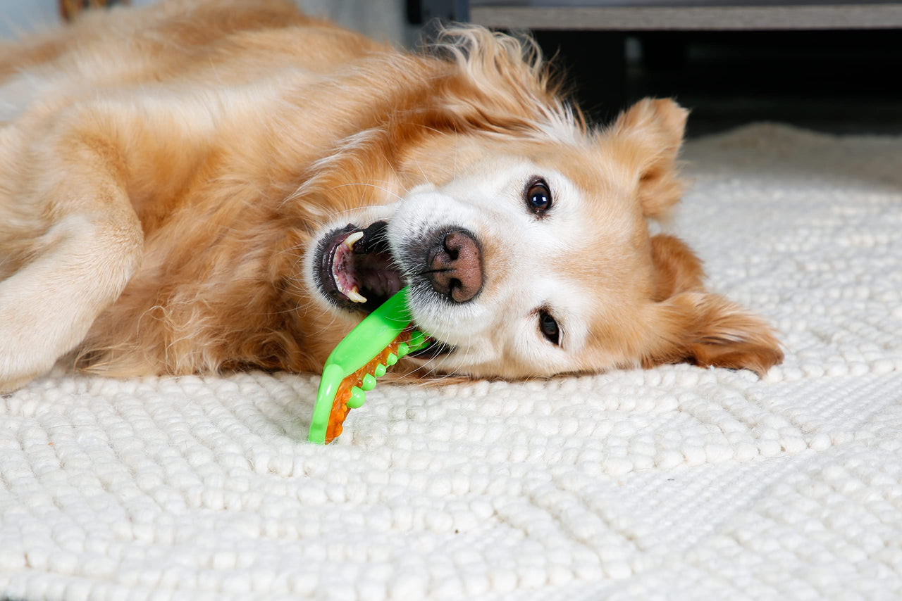 Hartz Chew 'n Clean Dental Duo Dog Treat & Chew Toy, Color Varies, Large, 3 Pack Large (Pack of 3) Orange, Green & Yellow