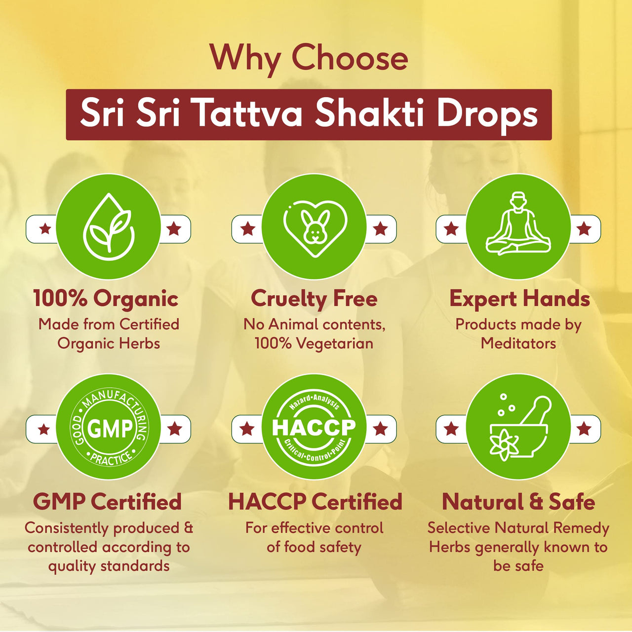 Sri Sri TATTVA shuddhta ka naam Shakti Drops - Ayurvedic Immunity Booster For Adults & Kids - Natural Drops For Strength & Stamina - Relief From Cough, Cold & Sore Throat - 10Ml (Pack Of 3)