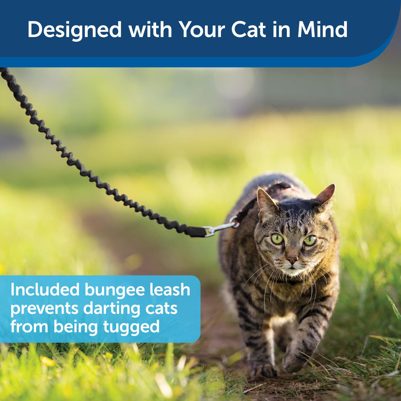PetSafe Come With Me Kitty Harness and Bungee Leash, Harness for Cats, Large, Black/Silver