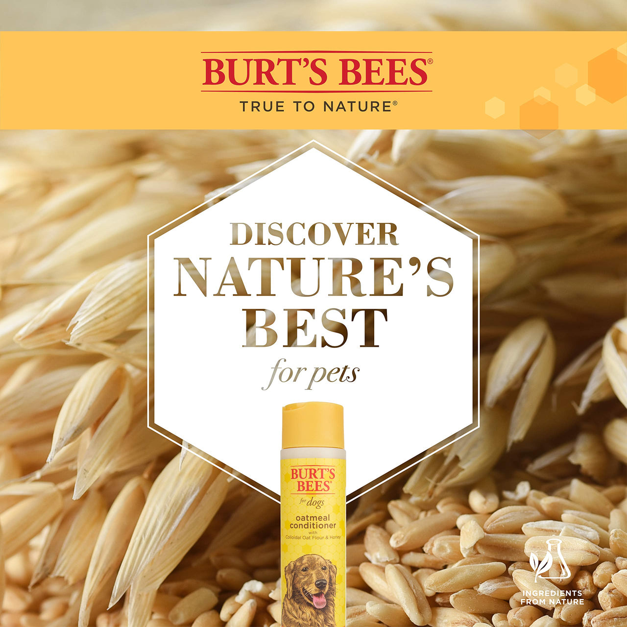 Burt's  Bees for Pets Oatmeal Conditioner with Colloidal Oat Flour & Honey | Dog Oatmeal Shampoo, Cruelty Free, Sulfate & Paraben Free, pH Balanced for Dogs - Made in the USA | 10 Oz - 2 Pack