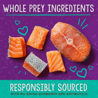 Stella & Chewy's  Freeze-Dried Raw Cat Dinner Morsels – Grain Free, Protein Rich Cat & Kitten Food – Sealicious Salmon & Cod Recipe – 18 oz Bag 18 Ounce (Pack of 1)