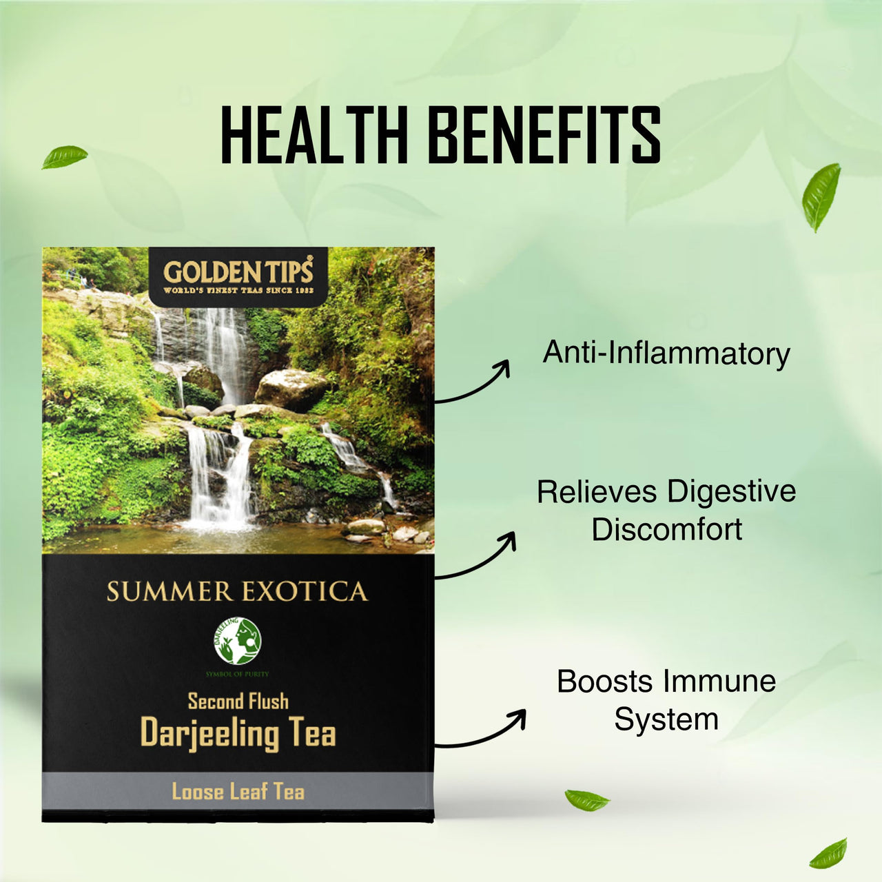 Golden Tips Summer Exotica Second Flush Darjeeling Black Tea (8.81oz - 250 gm - 125 Cups)