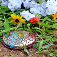 Orgonite Crystal Water Charging Plate –Chakra Balancing Coaster and Positive Energy Generator Flower of Life and with 7 Healing Crystals for E Energy Protection(4 Inch Diameter)