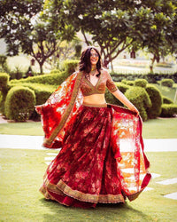 Zeel Clothing Floral Organza Semi-Stitched Lehenga Choli for Women