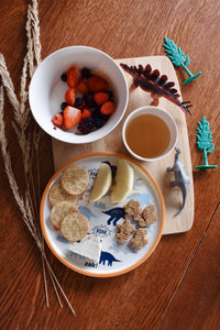 Zak Designs Kids Dinnerware Set 3 Pieces, Durable and Sustainable Melamine Bamboo Plate, Bowl, and Tumbler are Perfect For Dinner Time With Family (Zaksaurus) 8