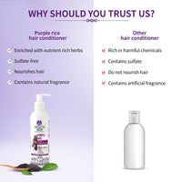 Ayouthveda Purple Rice Hair Conditioner with Rice Water & Kernel Protein | Repairs Damage, Controls Frizz & Enhances Volume | Enriched with Eggplant, Betel & Guava Leaves | For All Hair Types | 200ml
