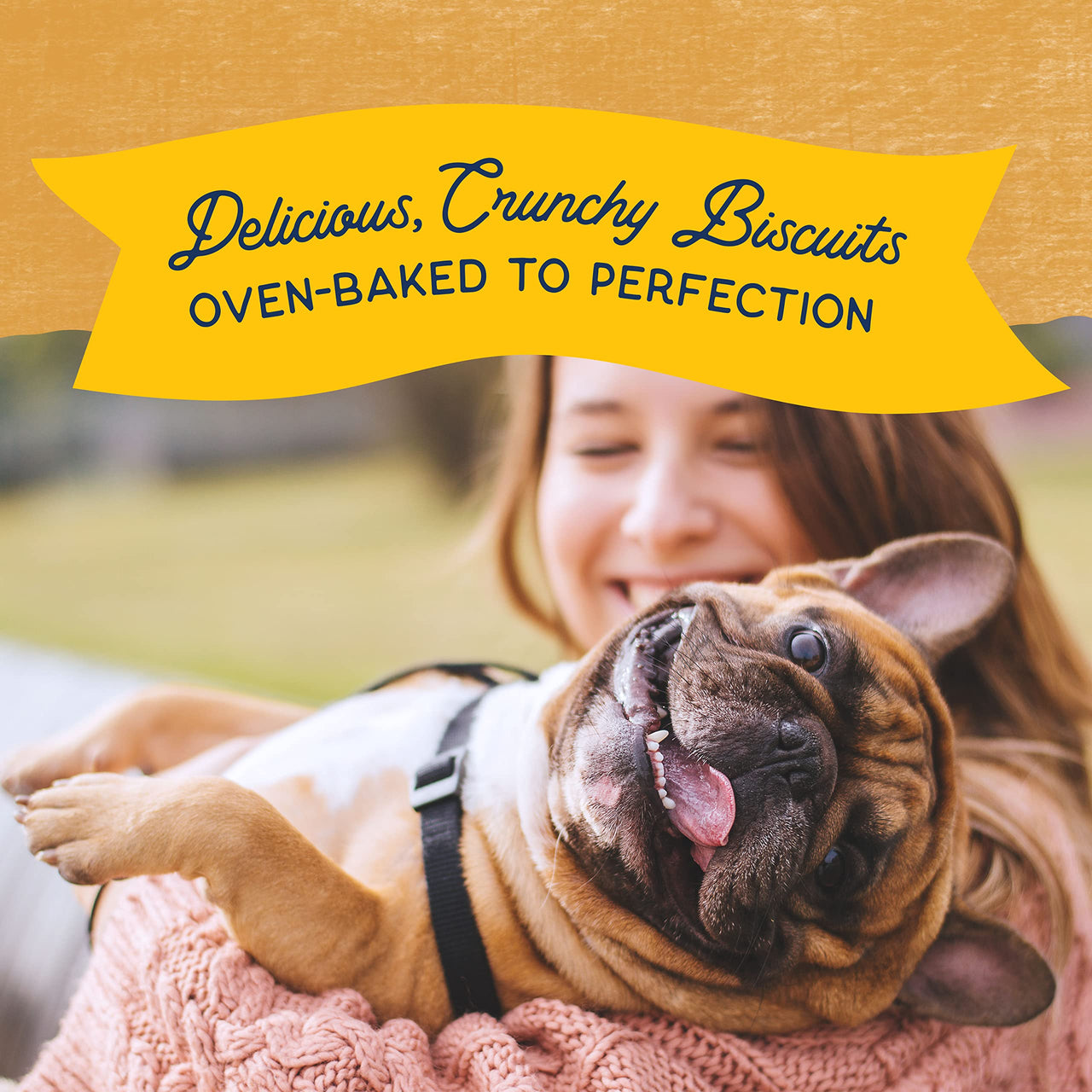 Natural Balance Limited Ingredient Rewards Crunchy Biscuits, Grain-Free Dog Treats for Adult Dogs of All Breeds, Duck Recipe, 28 Ounce (Pack of 1) 28 Ounce (Pack of 1)