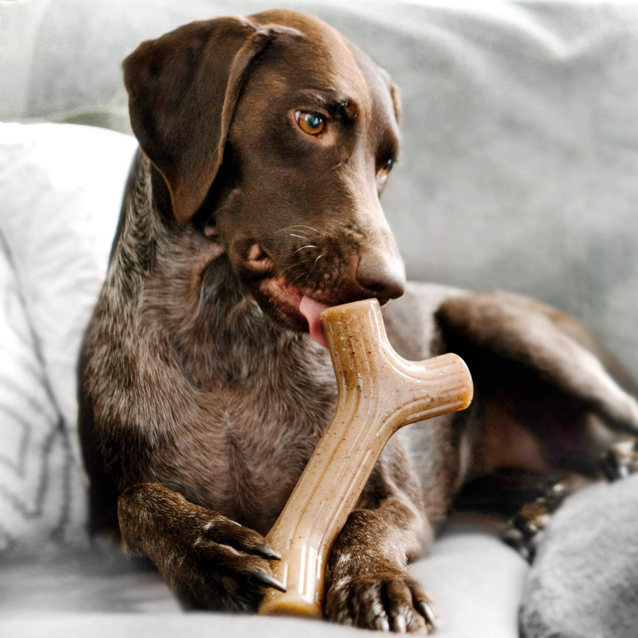 Benebone Bacon Stick Durable Dog Chew Toy for Aggressive Chewers, Real Bacon, Made in USA, Large