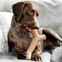 Benebone Bacon Stick Durable Dog Chew Toy for Aggressive Chewers, Real Bacon, Made in USA, Large