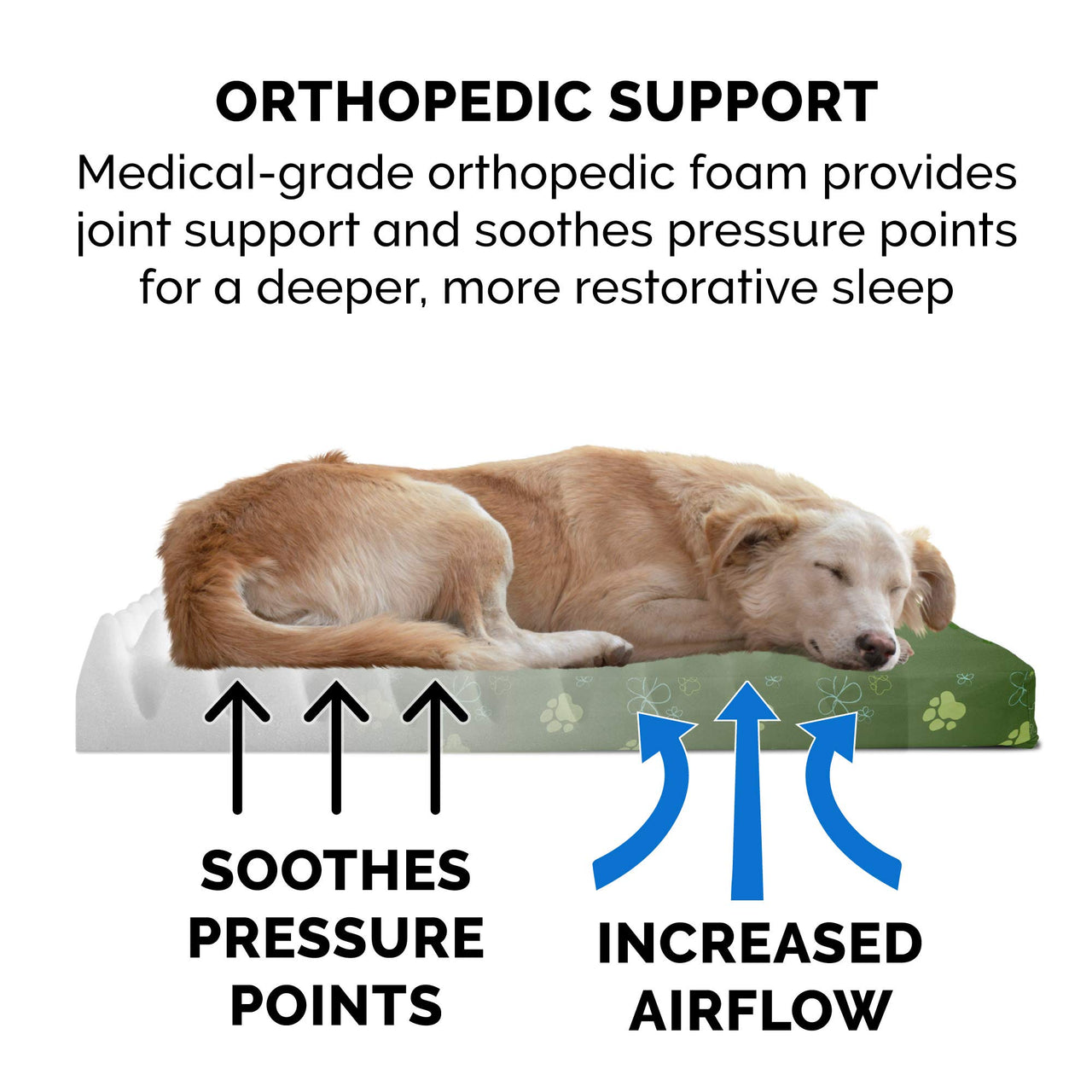 Furhaven Water-Resistant Orthopedic Dog Bed for Small Dogs w/ Removable Washable Cover, For Dogs Up to 20 lbs - Indoor/Outdoor Garden Print Mattress - Jungle Green, Small
