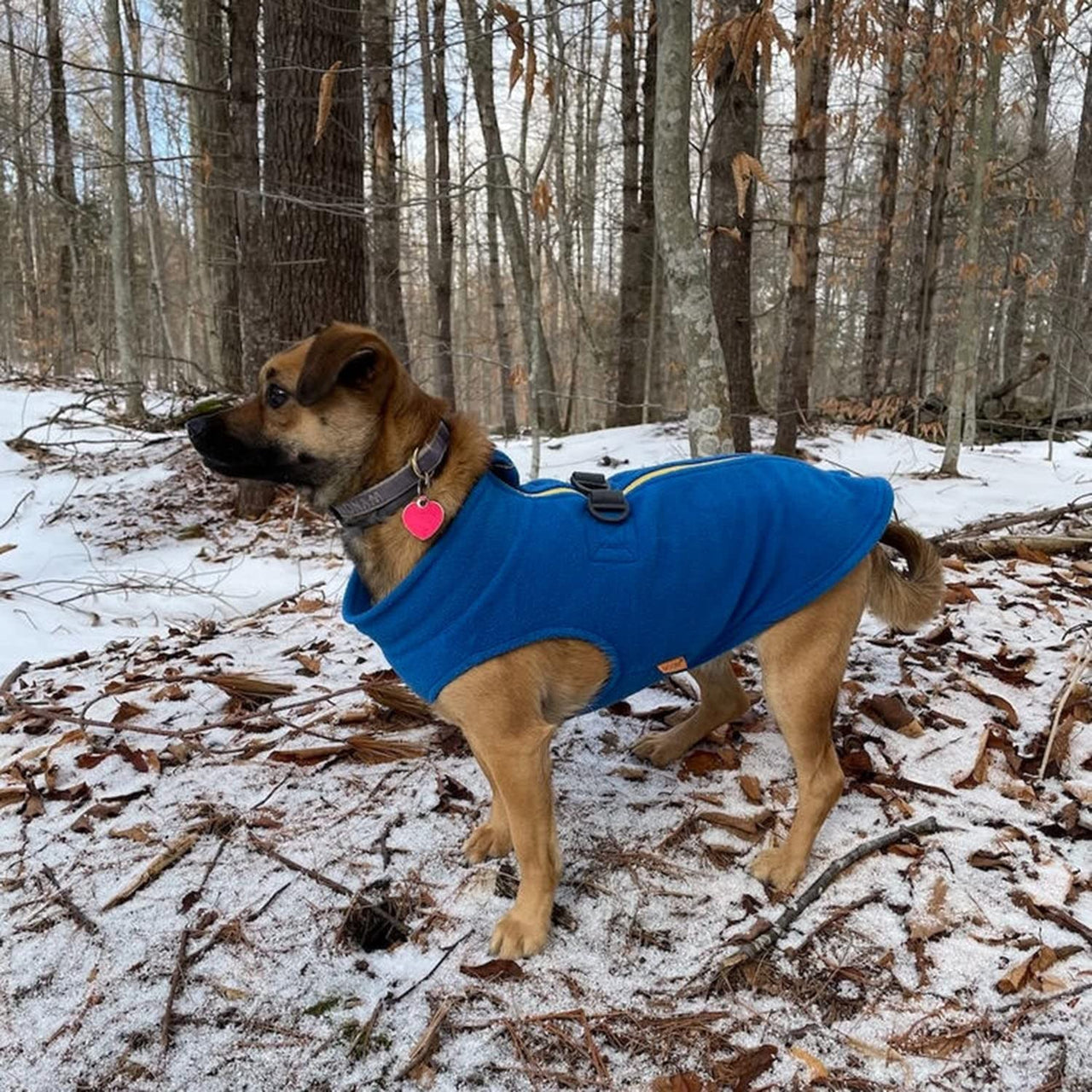 Gooby Zip Up Fleece Dog Sweater - Blue, Large - Warm Pullover Fleece Step-in Dog Jacket with Dual D Ring Leash - Winter Small Dog Sweater - Dog Clothes for Small Dogs Boy and Medium Dogs