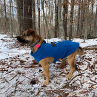 Gooby Zip Up Fleece Dog Sweater - Blue, Large - Warm Pullover Fleece Step-in Dog Jacket with Dual D Ring Leash - Winter Small Dog Sweater - Dog Clothes for Small Dogs Boy and Medium Dogs
