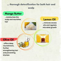NOX DETOX Anti Dandruff Hair Mask | Overnight Solution for Dry, Itchy, Flaky Scalp | 100% Vegan | Paraben Free