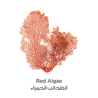 L'Oreal Paris Pure Clay Red Face Cleanser with Red Algae Exfoliates and Brightens, 150ml