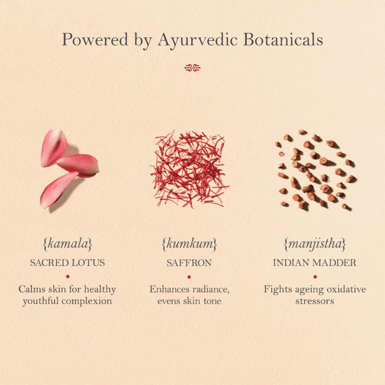 Kama Ayurveda Kumkumadi Thailam Miraculous Beauty Fluid Ayurvedic Night Serum (Facial Oil) (3ml)