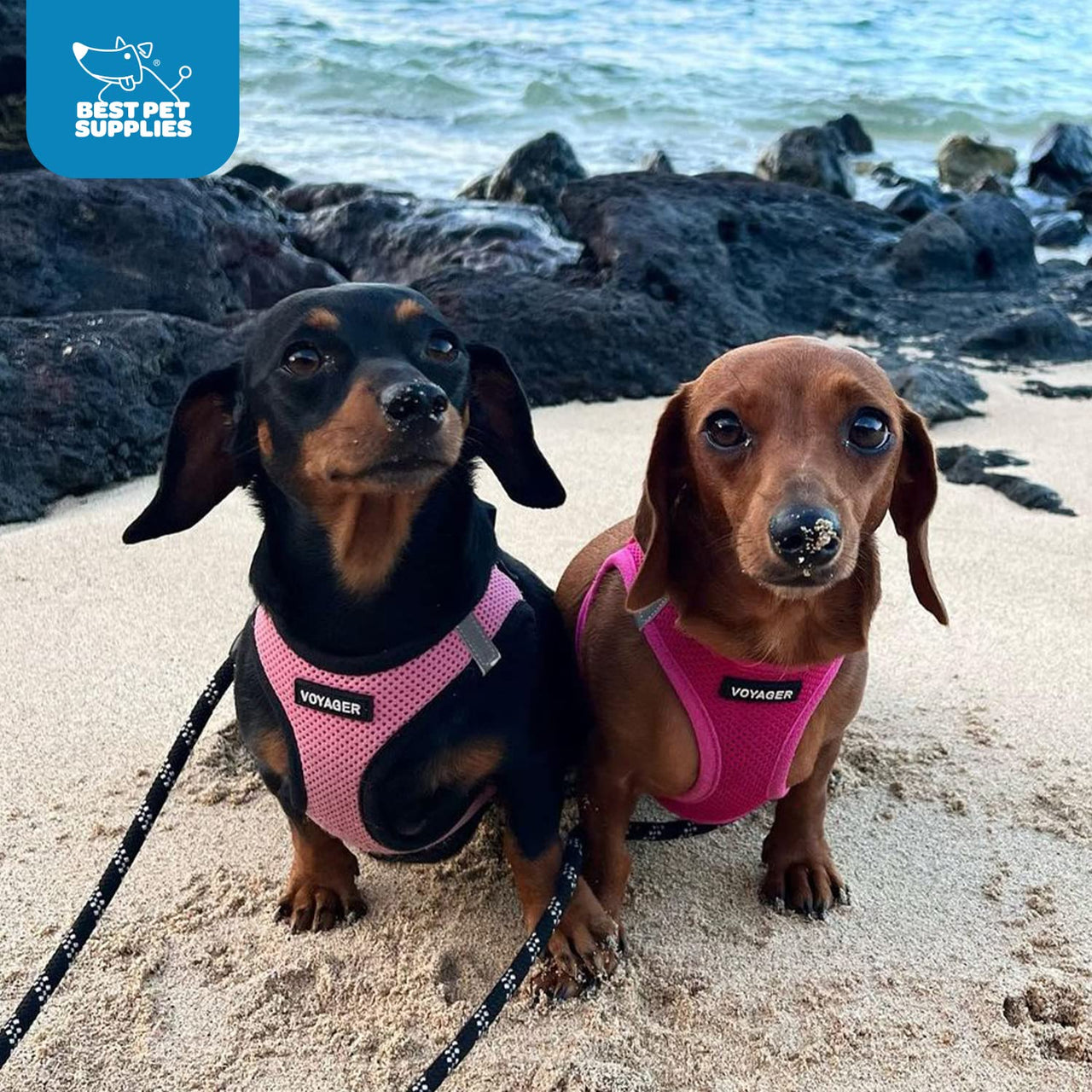 Voyager Step-in Air Dog Harness - All Weather Mesh Step in Vest Harness for Small and Medium Dogs and Cats by Best Pet Supplies - Harness (Pink/Black Trim), S (Chest: 14.5-16") Harness (Pink/Black Trim) S (Chest: 14.5 - 16")