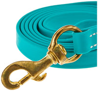 J&J Dog Supplies Biothane Dog Leash, 3/4