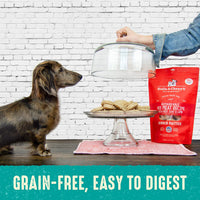 Stella & Chewy's  Freeze Dried Raw Dinner Patties – Grain Free Dog Food, Protein Rich Surf ‘N Turf Salmon & Beef Recipe – 25 oz Bag 1.56 Pound (Pack of 1)