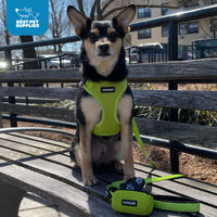 Voyager Step-in Lock Dog Harness w Reflective Dog Leash Combo Set with Neoprene Handle 5ft - Supports Small, Medium and Large Breed Puppies/Cats by Best Pet Supplies - Red/Black Trim, L