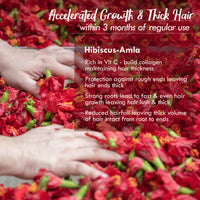 Nat Habit Five Oil Hibiscus Nutrimask-Hair Mask For All Hair & Scalp Types (Pack Of 3 X 40 Gm) And Hibiscus A Millilitresa Summer Hair Oil For Unisex - 100 Millilitres
