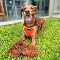 Best Pet Supplies Voyager Adjustable Dog Harness with Reflective Stripes for Walking, Jogging, Heavy-Duty Full Body No Pull Vest with Leash D-Ring, Breathable All-Weather - Harness (Orange), M Harness (Orange) M (Chest: 17 - 21