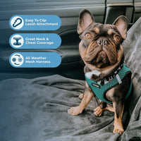 Voyager Step-in Air Dog Harness - All Weather Mesh Step in Vest Harness for Small and Medium Dogs by Best Pet Supplies - Turquoise (2-Tone), S Harness (Turquoise 2-Tone) S (Chest: 14.5 - 16