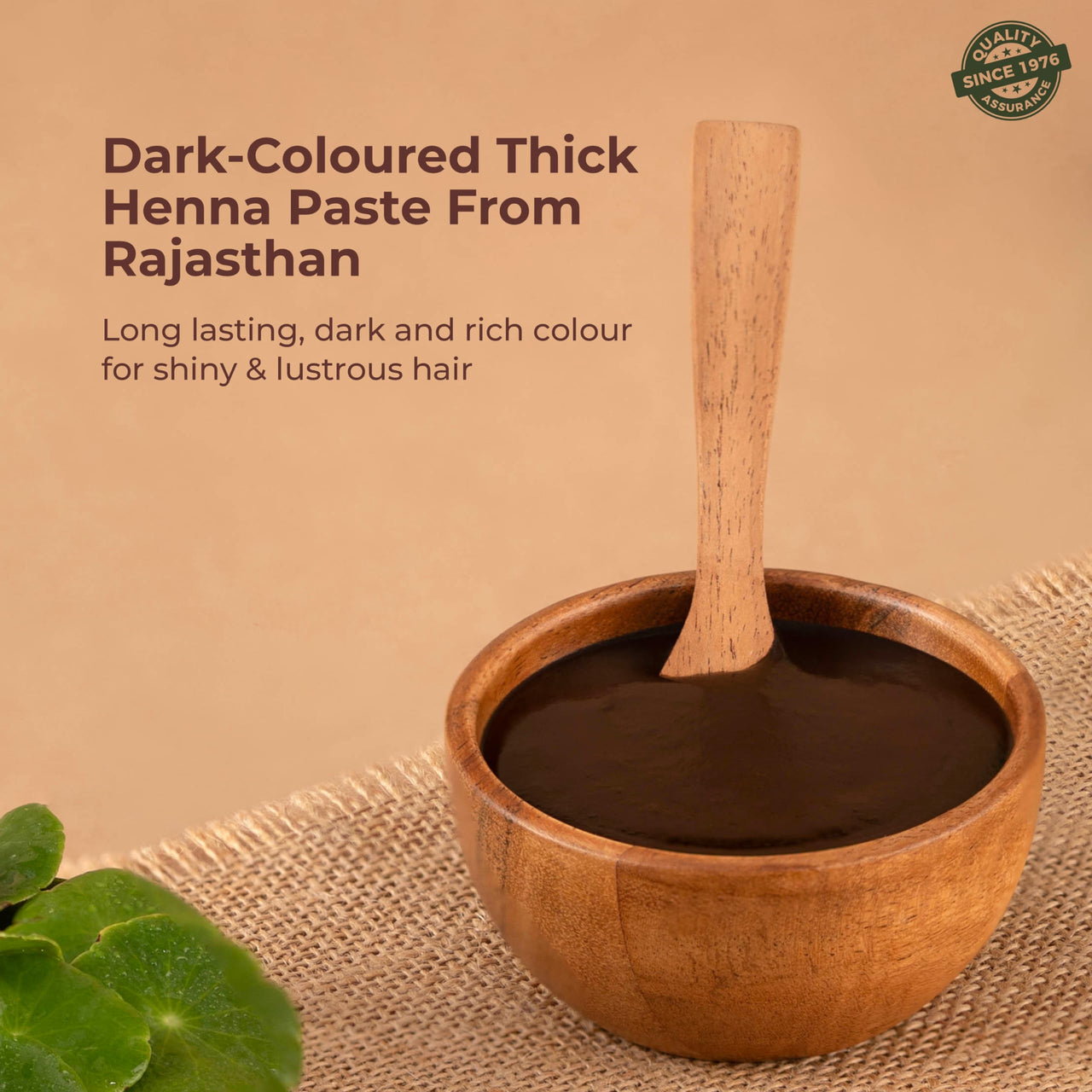 Indus Valley Bio Organic Herbal Henna Paste, 150g Pack of 2 with Indigo Powder 100g and Applicator Brush