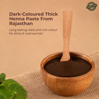 Indus Valley Bio Organic Herbal Henna Paste, 150g Pack of 2 with Indigo Powder 100g and Applicator Brush