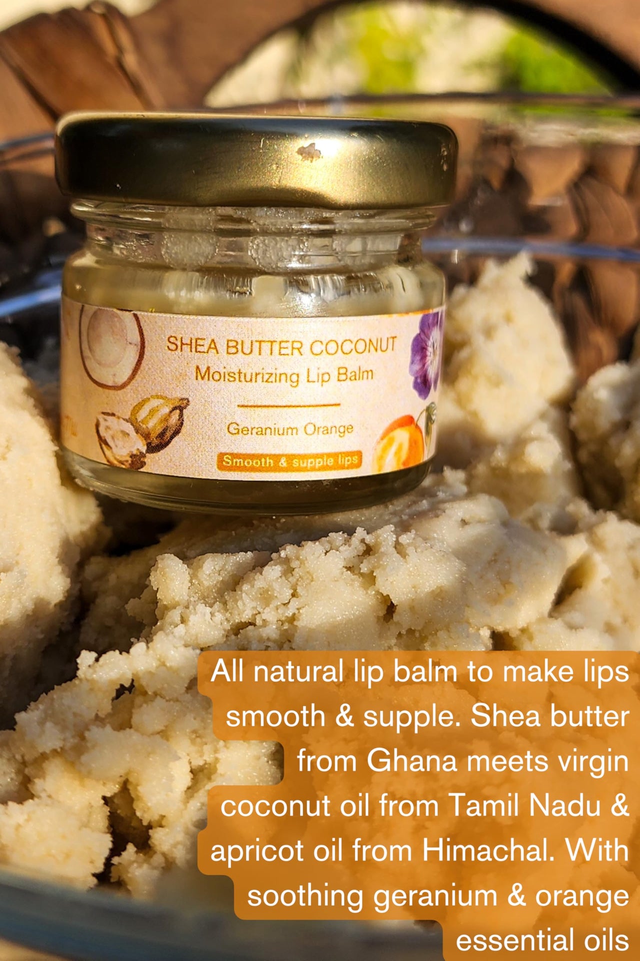 The Nature Mill Shea Coconut Moisturizing Lip Balm, Shea Butter, Virgin Coconut Oil, Apricot Oil, Geranium Orange Essential Oils, all natural, to make dry lips soft 20G