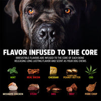 Pet Qwerks Dinosaur BarkBone - Nylon Dog Bone for Aggressive Chewers - Steak Flavor - 11