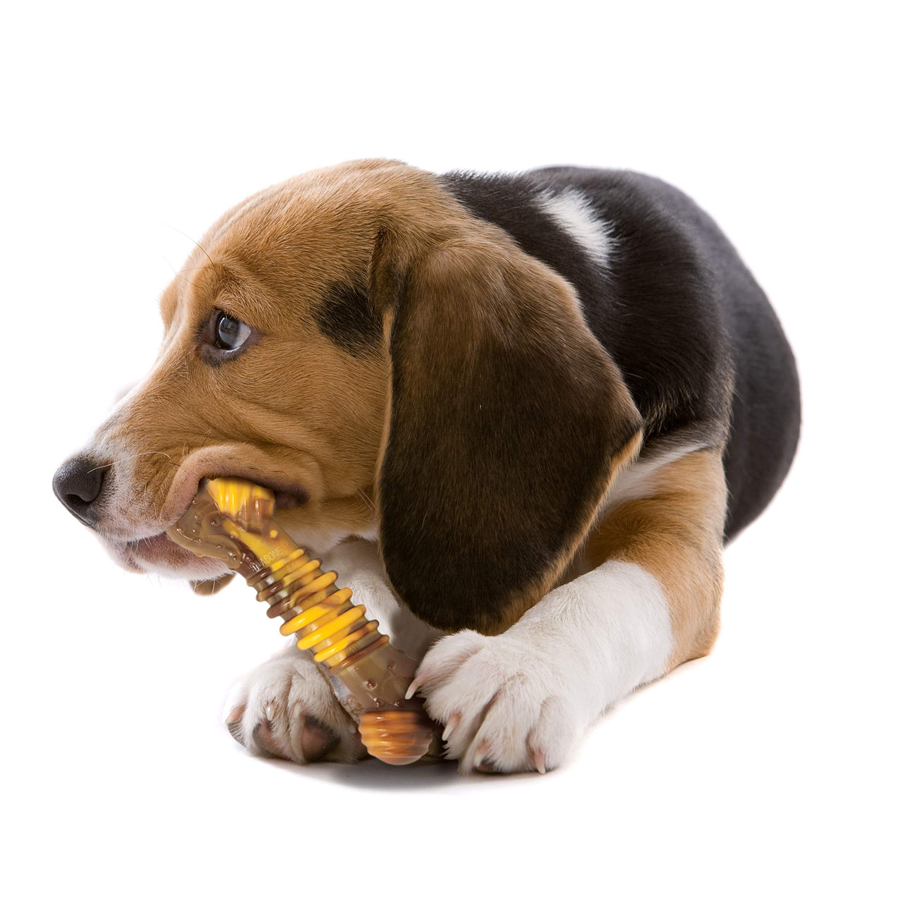 Nylabone Flavor Frenzy Power Chew Dog Toy Philly Cheesesteak Medium/Wolf (1 Count) Medium up to 35 lbs.