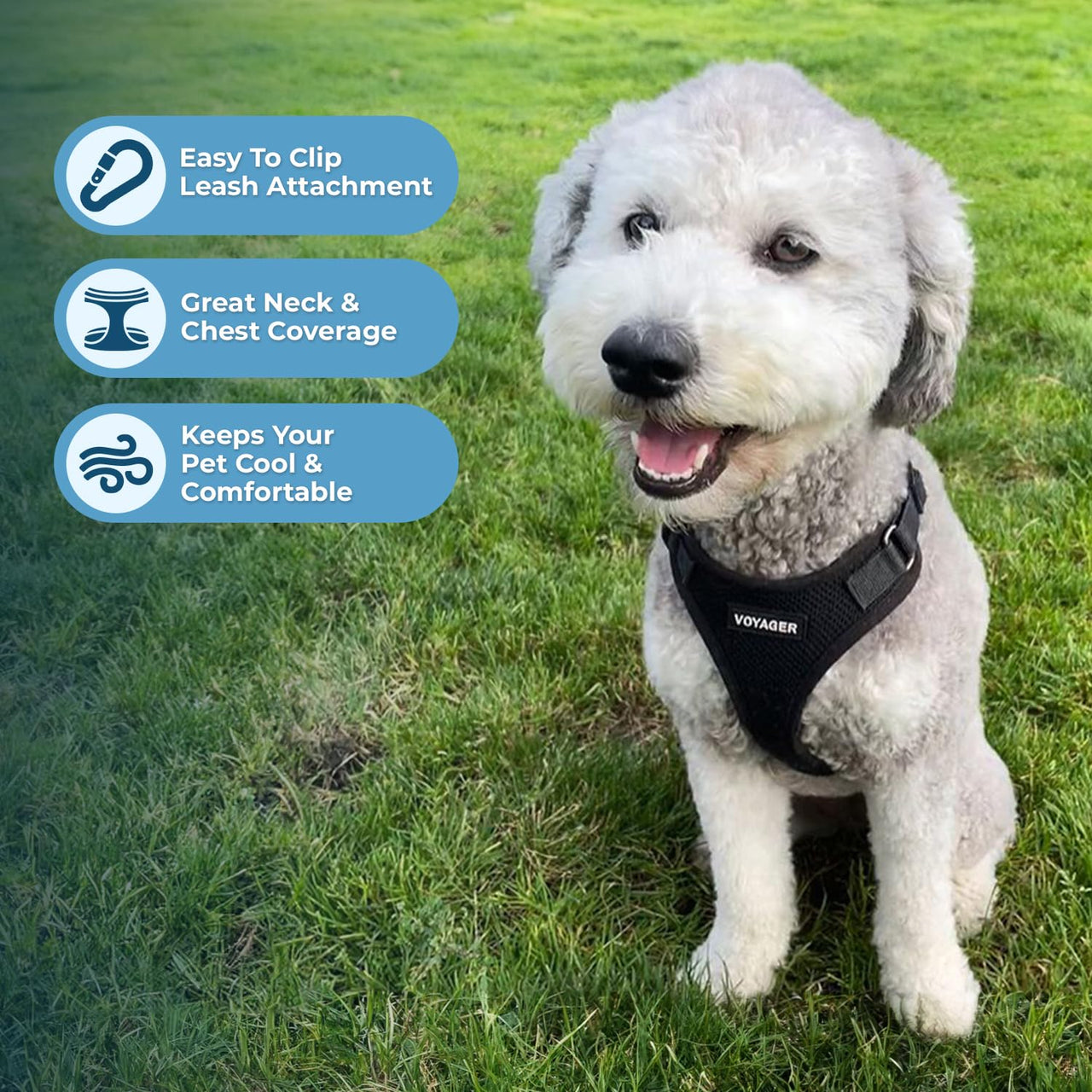Voyager Step-in Lock Pet Harness - All Weather Mesh, Adjustable Step in Harness for Cats and Dogs by Best Pet Supplies - Black, XL Harness (Black) XL (Chest: 23 - 28")