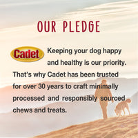 Cadet Bully Hide Sticks for Small, Medium and Large Dogs – All-Natural Beef Pizzle, High Protein, Low Fat, Long-Lasting, Grain & Rawhide-Free Dog Chews for Aggressive Chewers, Small (9 Count) Small (9 Pack)