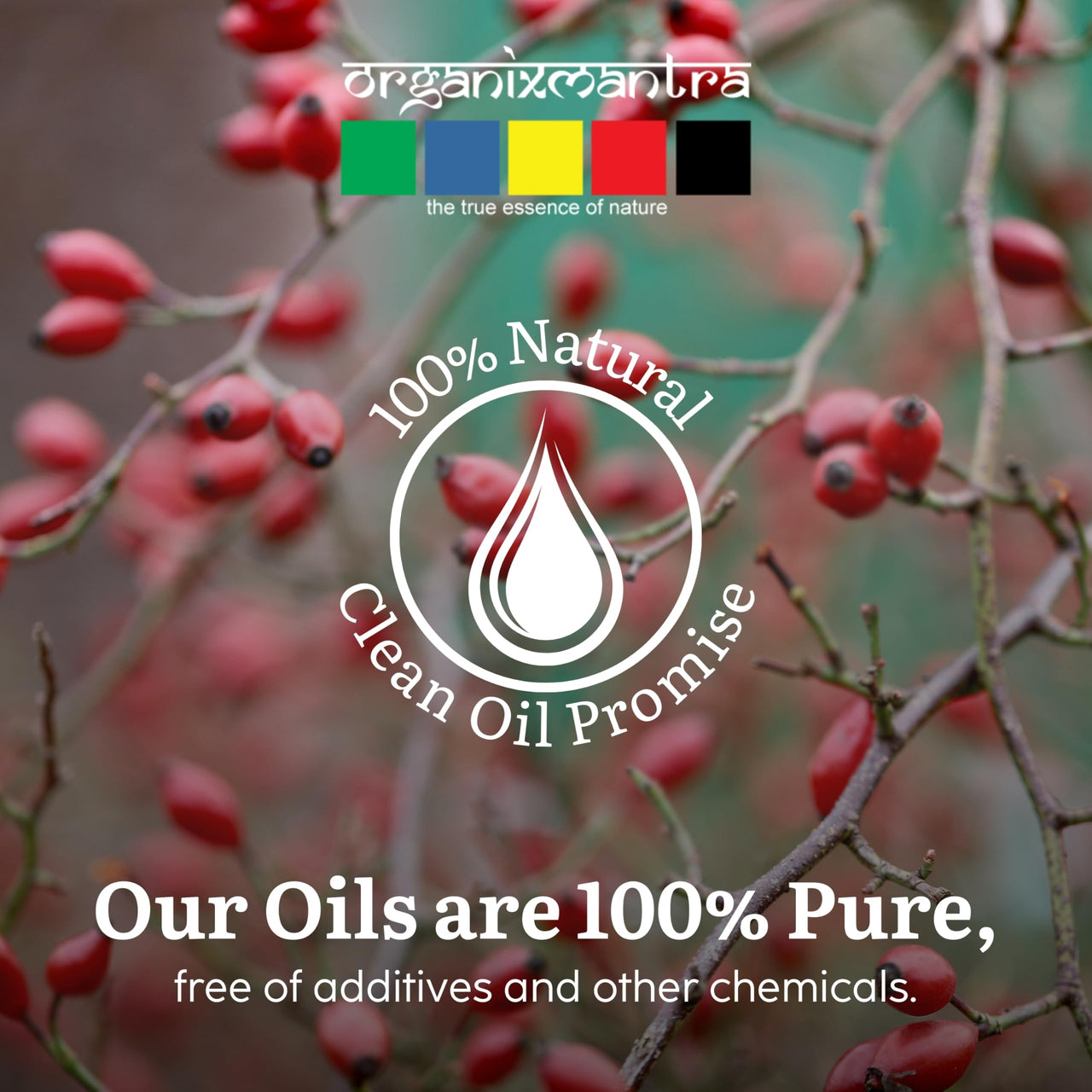 Organix Mantra Rosehip Seed Body Oil for Face Wrinkles, Fine Lines, Under Eye, Curly Hair | 100% Pure, Natural & Cold Pressed Oil, 30ML
