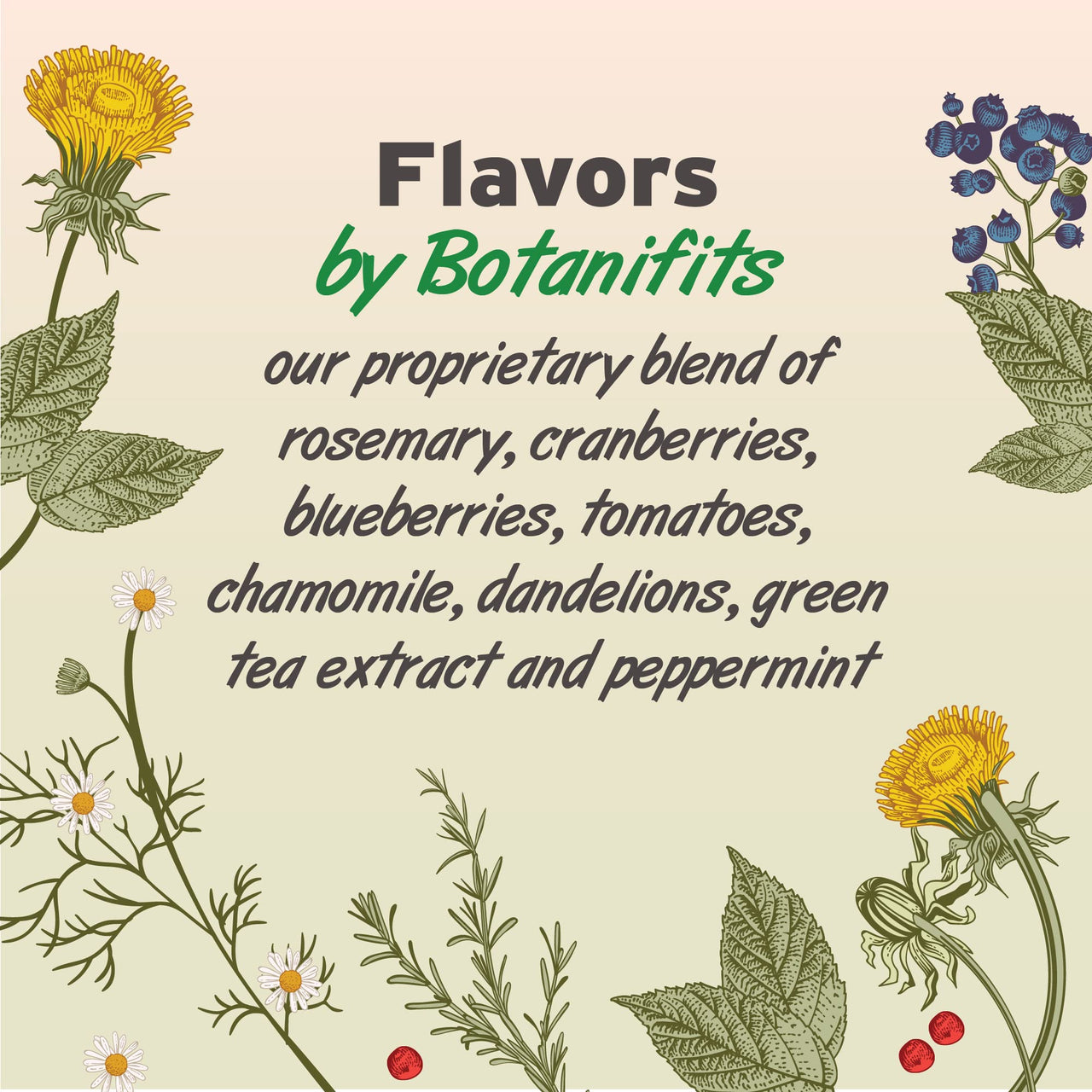 Pet Botanics 16 oz. Pouch Training Reward Freeze Dried, Beef Liver Flavor, with 825 Treats Per Bag, The Choice of Top Trainers 1 Pound (Pack of 1)