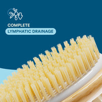 Bloom 2-in-1 Long Handle Body Brush | For Skin Exfoliation and Massage | Reduces Cellulite | Stimulates Blood Circulation & Reduces Dead Skin Cells | Natural, Soft Bristles | (1 unit)