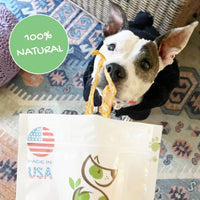 Nature Gnaws USA Turkey Tendons for Dogs - Premium Natural Chew Treats - Delicious Reward Snack for Small Medium & Large Dogs - Made in The USA 4 oz Bag 1 Pound (Pack of 1)