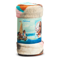 Northwest Disney Princesses, “Dreamers” 46 60-inch Micro Raschel Throw Company, 46