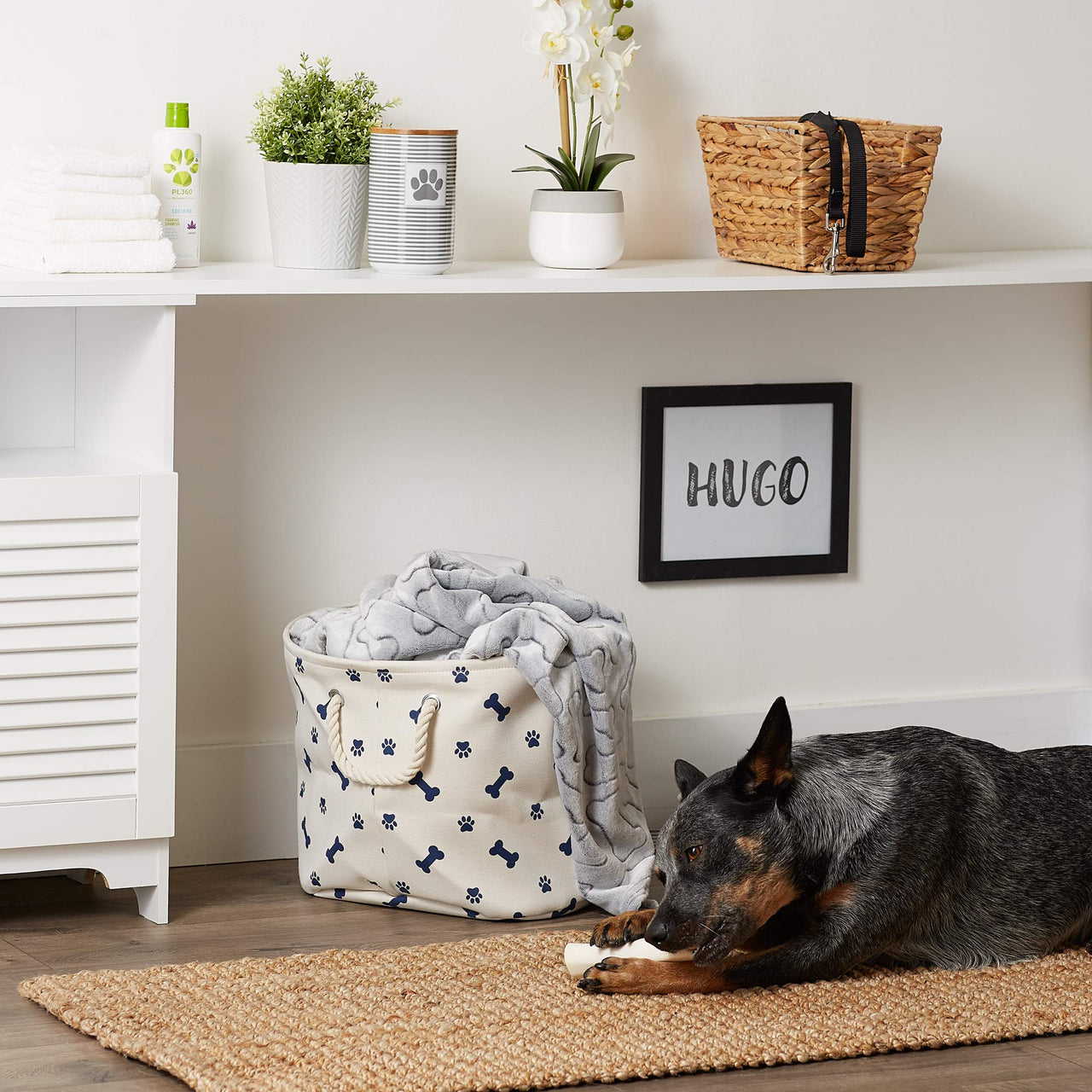Bone Dry 5511 Pet Storage Collection Paw and Bone Print, Medium Round, Nautical Blue Medium Round, 12x15x15"