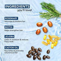 Botanic Hearth 100% Pure Rosemary Oil for Hair Growth | Controls Hair Fall, Promotes New Hair Growth | Hair Strengthening Treatment for Healthy Nourished Hair | 198 ml