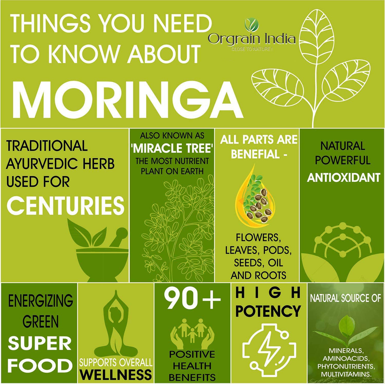 Orgrain India Organic Moringa Powder 200g (Pack Of 2 * 100g)