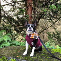 Gooby Zip Up Fleece Dog Sweater - Fuchsia Wash, X-Large - Warm Pullover Fleece Step-in Dog Jacket with Dual D Ring Leash - Winter Small Dog Sweater - Dog Clothes for Small Dogs Boy and Medium Dogs X-Large chest (~22.5