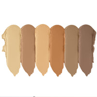 STARS COSMETICS Derma Series Foundation Color Palette & Translucent Powder, Matte Finish Long lasting Waterproof Face Makeup Cream Suitable For All Skin Types (DERMA PALETTE & BEIGE MATT)
