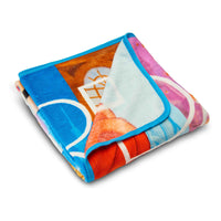 Northwest Disney Princesses, “Dreamers” 46 60-inch Micro Raschel Throw Company, 46