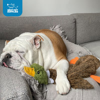 Best Pet Supplies 2-in-1 Stuffless Squeaky Dog Toys with Soft, Durable Fabric for Small, Medium, and Large Pets, No Stuffing for Indoor Play, Holds a Plastic Bottle - Hare, Large Brown/Hare