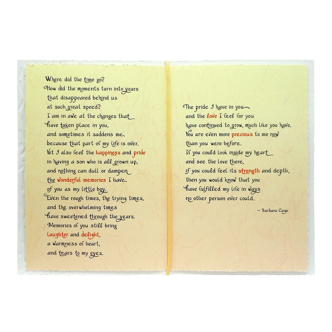 Blue Mountain Arts Son Card—Birthday, Just Because, Graduation, Holiday, or Any Occasion Card (Son, I Want You to Know How Much You Mean to Me) orange and blue