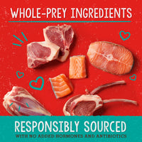 Stella & Chewy's  Stella's  Solutions Skin & Coat Boost Grass-Fed Lamb & Wild-Caught Salmon Dinner Morsels Freeze-Dried Raw Dog Food, 13 oz (SOL-FDLSSC-13) Lamb & Salmon (Skin & Coat Boost) 13 Ounce (Pack of 1)