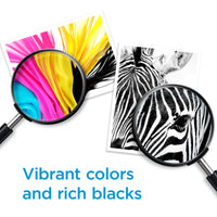 HP 62XL Black High-yield Ink | Works with HP ENVY 5540, 5640, 5660, 7640 Series, HP OfficeJet 5740, 8040 Series, HP OfficeJet Mobile 200, 250 Series | Eligible for Instant Ink | C2P05AN