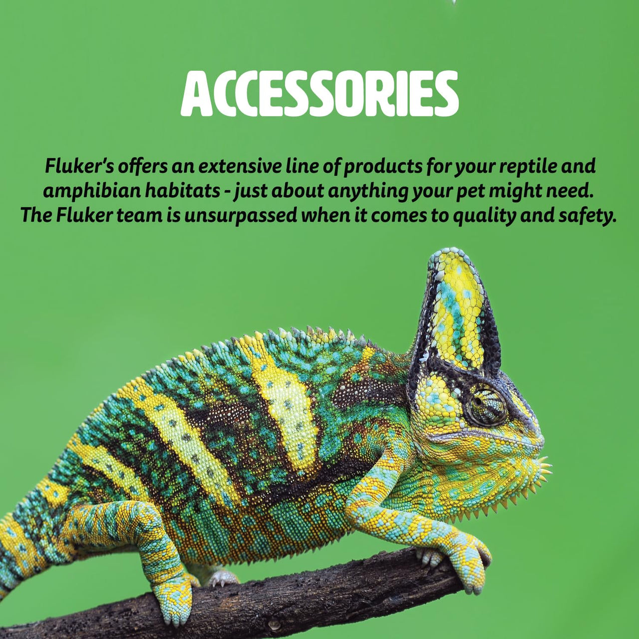 Fluker's  Repta Bowl - Food and Water Bowl for Reptiles and Small Animals, Small 4"